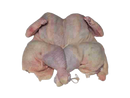 BOSTON CHICKEN UNSEASONED